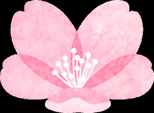 DƬ